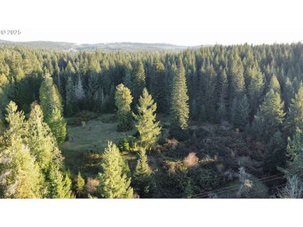 Homesite for sale in Douglas County, Oregon