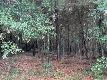 Land for sale in Decatur County, Georgia
