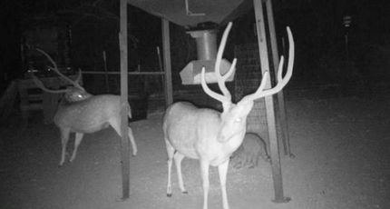 House for sale in Edwards County, Texas