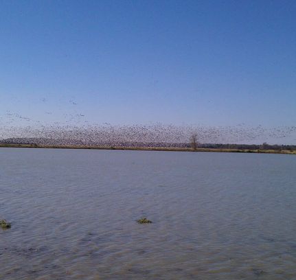 Recreational Property for sale in Monroe County, Arkansas