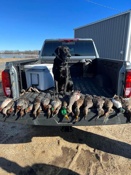 Land for sale in Monroe County, Arkansas