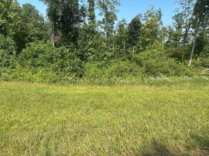 Undeveloped Land for sale in Clay County, Tennessee