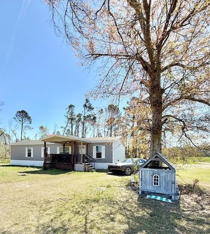 Oceanfront Property for sale in Jeff Davis County, Georgia