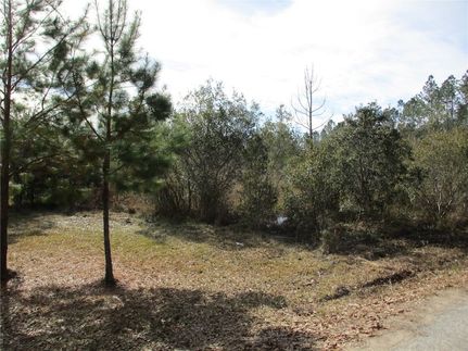 Homesite for sale in Nassau County, Florida