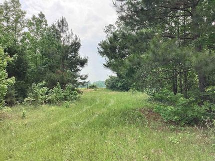 Undeveloped Land for sale in Hempstead County, Arkansas