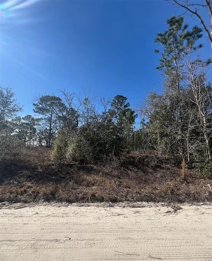 Homesite for sale in Levy County, Florida