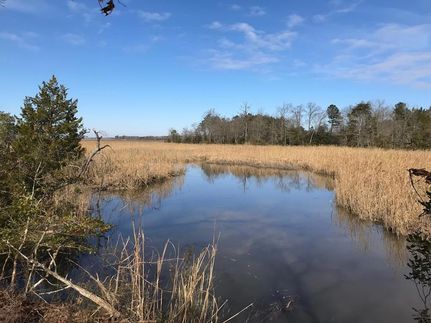 Undeveloped Land for sale in King and Queen County, Virginia