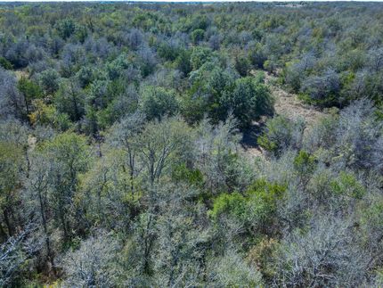 Land for sale in Bastrop County, Texas