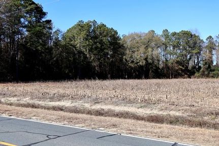Timberland Property for sale in Robeson County, North Carolina