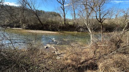 Land for sale in Wilkes County, North Carolina