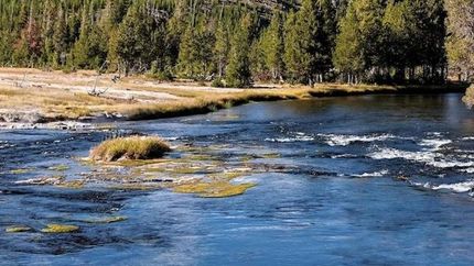 Land for sale in Madison County, Montana