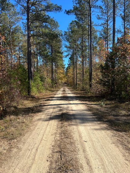 Land for sale in Union County, South Carolina