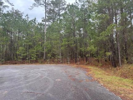 Homesite for sale in Decatur County, Georgia