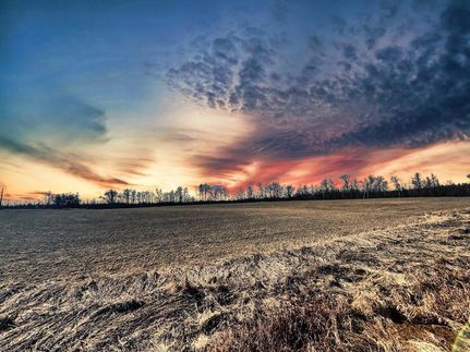 Farm and Ranch for sale in Menominee County, Michigan