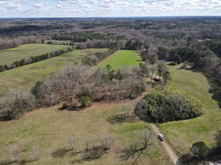Undeveloped Land for sale in Henry County, Georgia