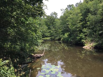 Land for sale in Pulaski County, Arkansas