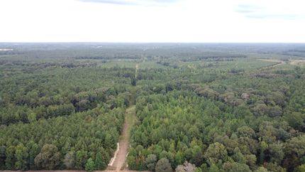 Undeveloped Land for sale in Lincoln Parish, Louisiana