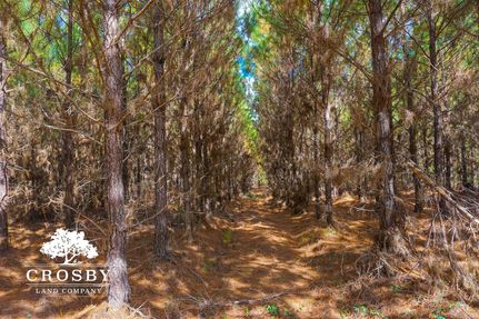 House for sale in Long County, Georgia