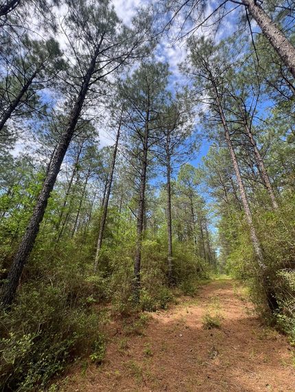 Hunting Property for sale in Jackson Parish, Louisiana