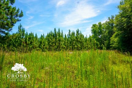 Recreational Property for sale in Wheeler County, Georgia