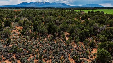 Farm and Ranch for sale in San Juan County, Utah