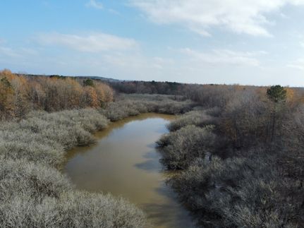 Timberland Property for sale in Upshur County, Texas