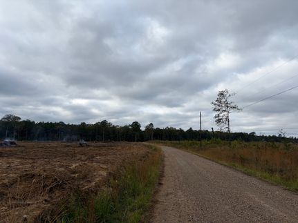 Land for sale in Morehouse Parish, Louisiana