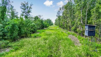 Land for sale in Pointe Coupee Parish, Louisiana