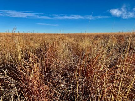 Land for sale in Hamilton County, Kansas