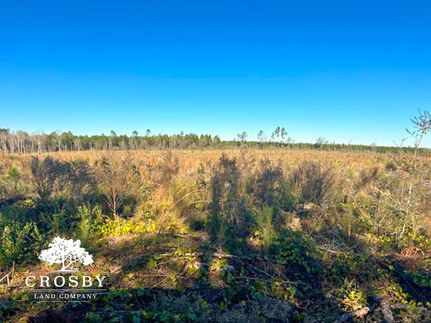 Hunting Property for sale in Telfair County, Georgia