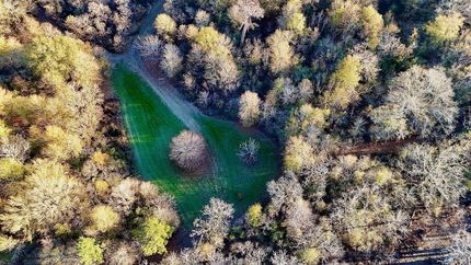 Land for sale in Grant Parish, Louisiana