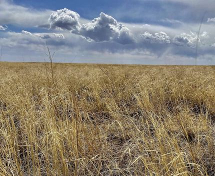 Land for sale in Kiowa County, Colorado