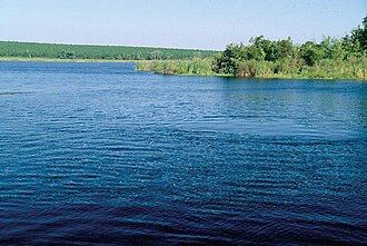 Land for sale in Lake County, Florida