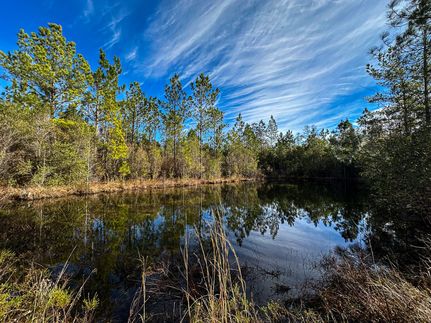 Undeveloped Land for sale in Jackson County, Mississippi
