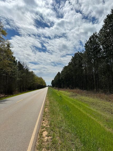 Timberland Property for sale in Escambia County, Alabama