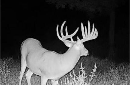 Land for sale in Marion County, Illinois