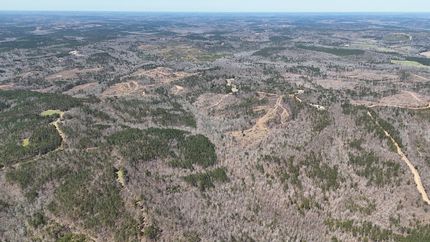 Land for sale in Pickens County, Alabama