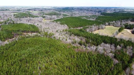 Land for sale in Winston County, Alabama