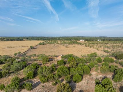 Undeveloped Land for sale in McCulloch County, Texas
