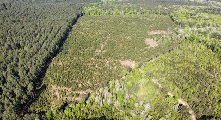 Timberland Property for sale in Jackson Parish, Louisiana