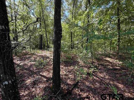 Farm and Ranch for sale in Cherokee County, Texas