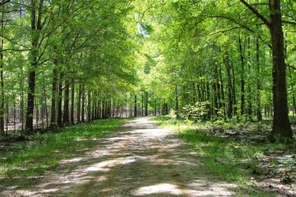 Land for sale in Bullock County, Alabama