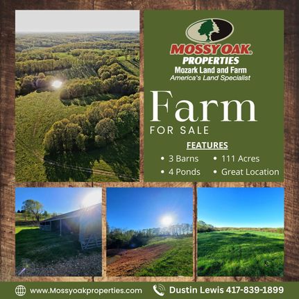 Land for sale in Stone County, Missouri