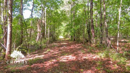 Land for sale in Aiken County, South Carolina