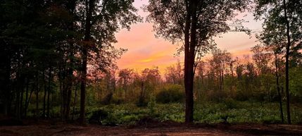 Land for sale in Cass County, Michigan