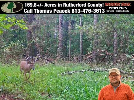 Farm and Ranch for sale in Rutherford County, North Carolina