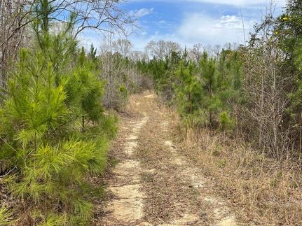 Undeveloped Land for sale in Crenshaw County, Alabama