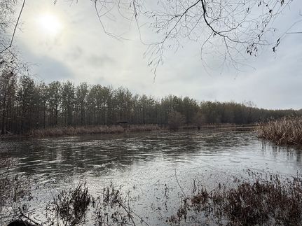 Undeveloped Land for sale in Crittenden County, Arkansas