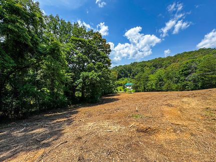 Undeveloped Land for sale in Campbell County, Tennessee