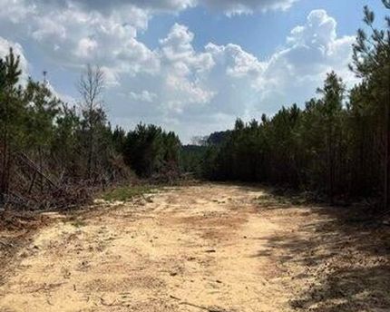 Undeveloped Land for sale in Madison County, Mississippi